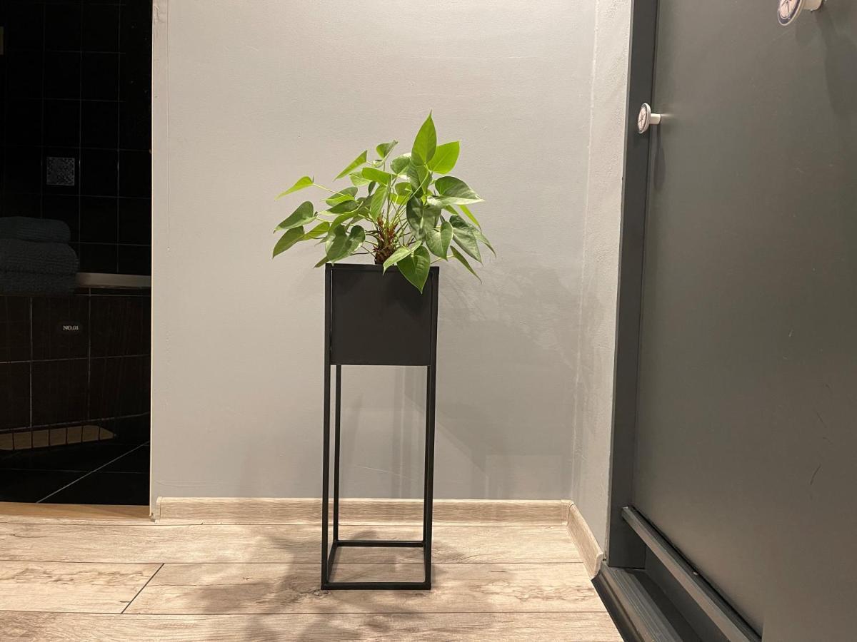 Apartamenty Pod Uwalonym Debem Jezow Sudecki Exteriér fotografie