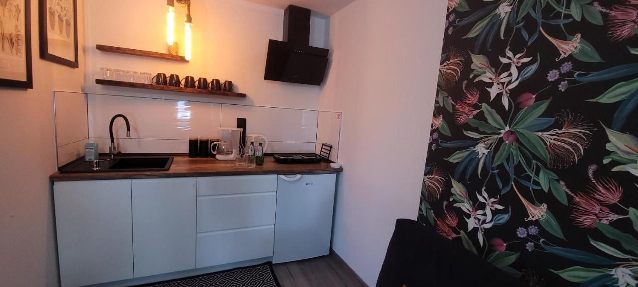 Apartamenty Pod Uwalonym Debem Jezow Sudecki Exteriér fotografie
