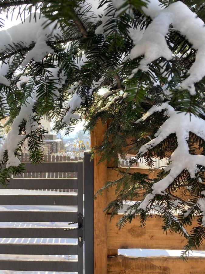 Apartamenty Pod Uwalonym Debem Jezow Sudecki Exteriér fotografie